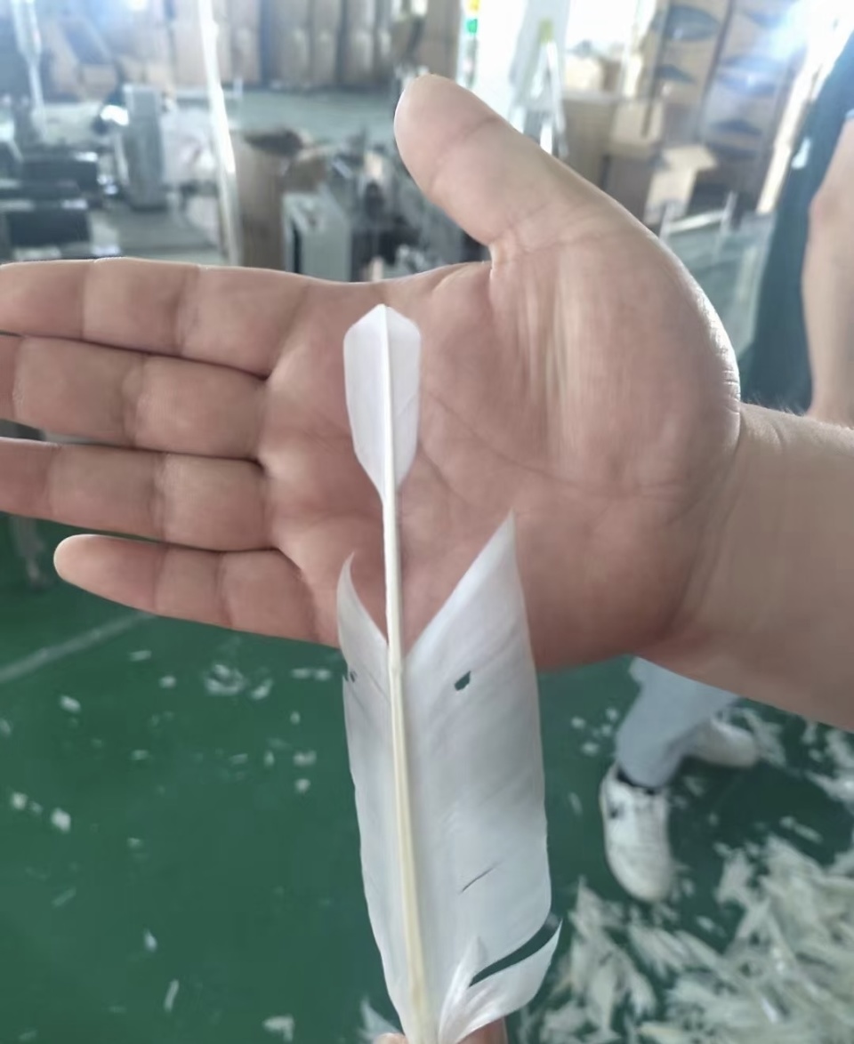 选择, 多是比赛回