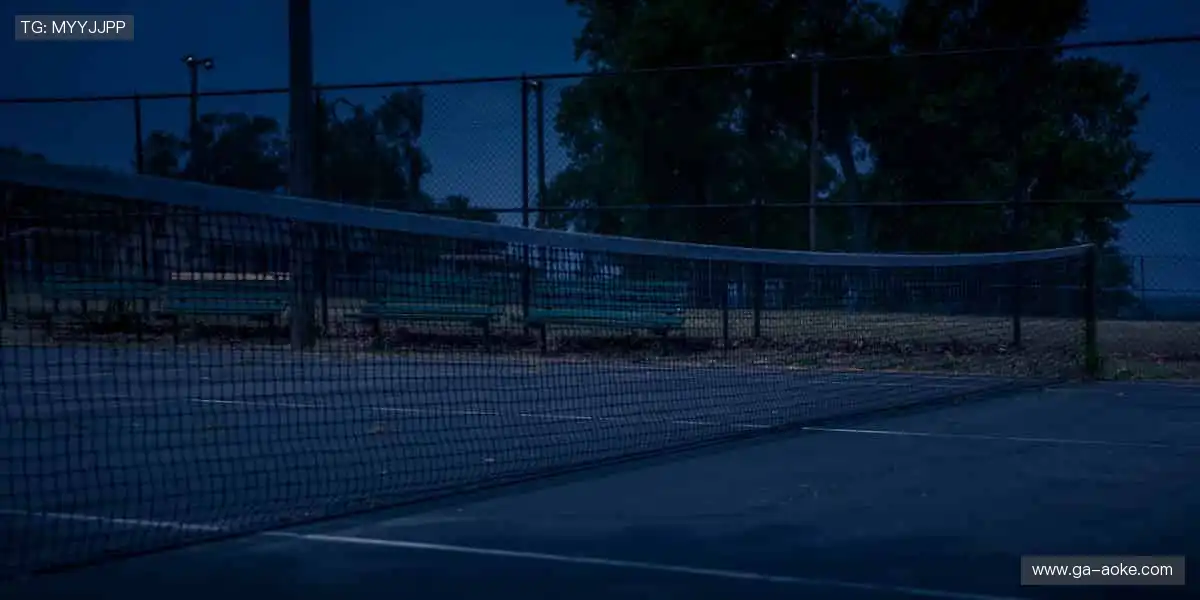 巅峰对决,见证传奇诞生🏆✨